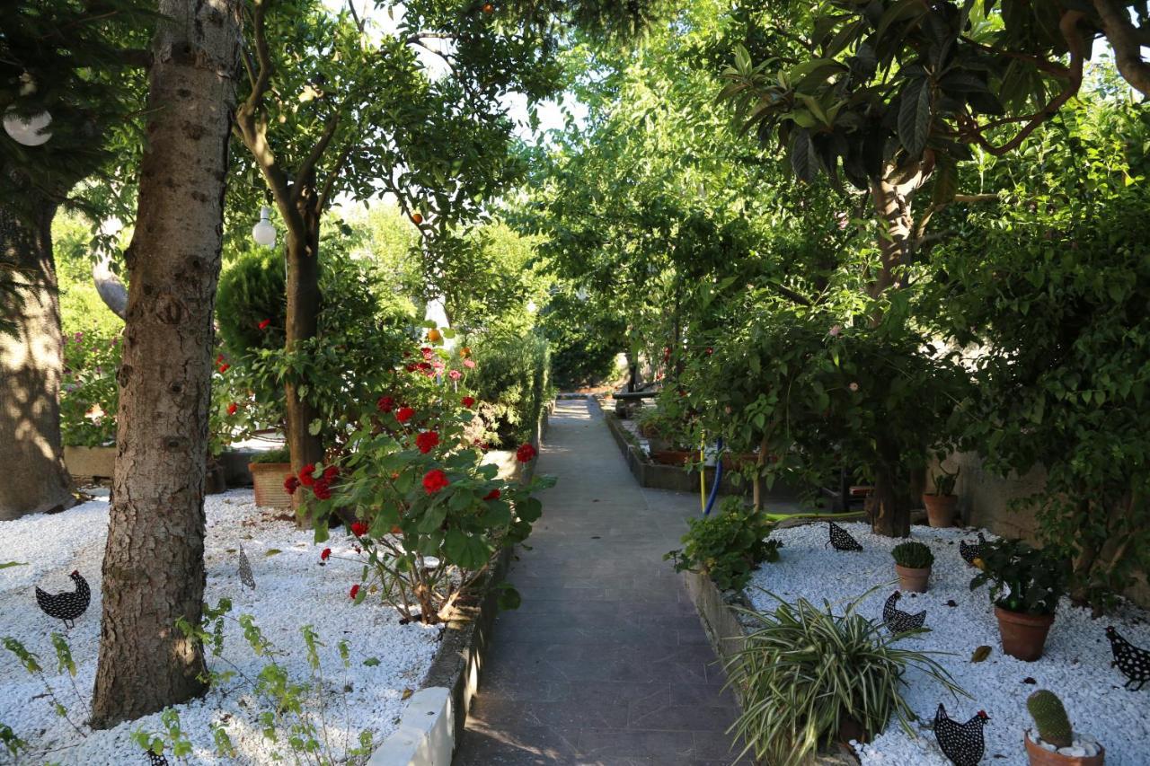 B&B Villa Gemini Sant'Agnello Exterior foto